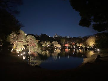 六義園に投稿された画像（2023/12/3）