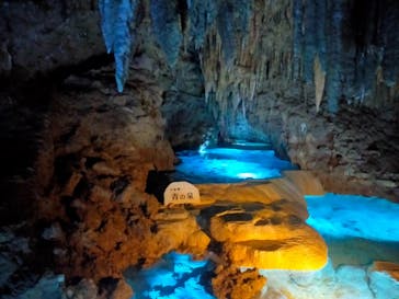 おきなわワールドに投稿された画像（2023/12/3）