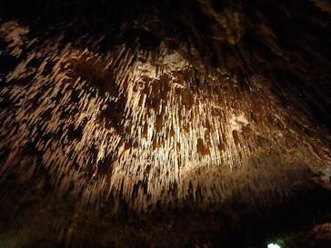 おきなわワールドに投稿された画像（2023/12/3）