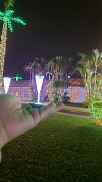 美らヤシパークオキナワ・東南植物楽園に投稿された画像（2023/12/3）