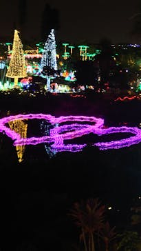 美らヤシパークオキナワ・東南植物楽園に投稿された画像（2023/12/3）