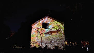 六義園に投稿された画像（2023/12/3）