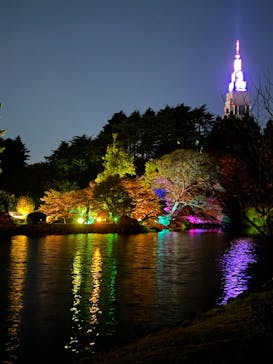 NAKED 紅葉の新宿御苑2023に投稿された画像（2023/12/3）