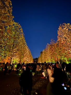 NAKED 紅葉の新宿御苑2023に投稿された画像（2023/12/3）