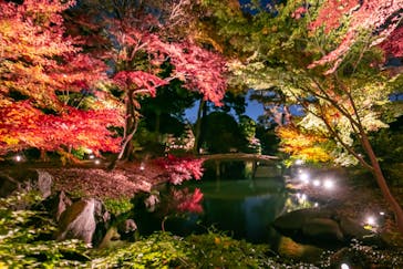 六義園に投稿された画像（2023/12/3）