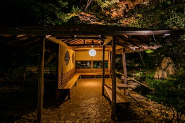 六義園に投稿された画像（2023/12/3）