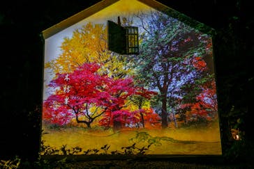 六義園に投稿された画像（2023/12/3）