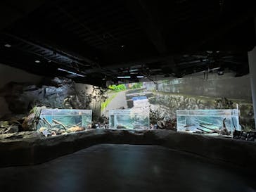 カワスイ 川崎⽔族館に投稿された画像（2023/12/3）