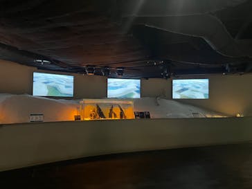 カワスイ 川崎⽔族館に投稿された画像（2023/12/3）