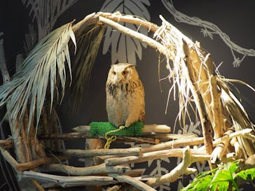 カワスイ 川崎⽔族館に投稿された画像（2023/12/3）