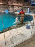 名古屋港水族館に投稿された画像（2023/12/3）