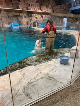 名古屋港水族館に投稿された画像（2023/12/3）