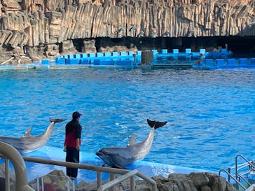 名古屋港水族館に投稿された画像（2023/12/3）
