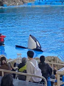 名古屋港水族館に投稿された画像（2023/12/3）