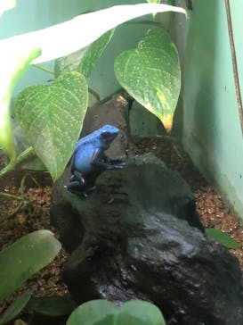 名古屋市東山動植物園に投稿された画像（2023/12/3）