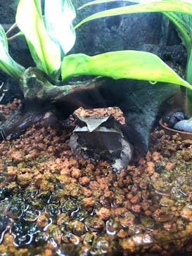 名古屋市東山動植物園に投稿された画像（2023/12/3）