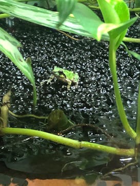 名古屋市東山動植物園に投稿された画像（2023/12/3）