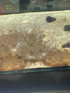 名古屋港水族館に投稿された画像（2023/12/3）