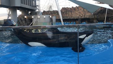 名古屋港水族館に投稿された画像（2023/12/3）