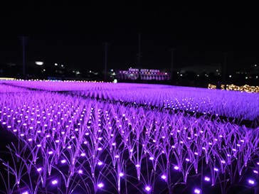 東京メガイルミに投稿された画像（2023/12/3）