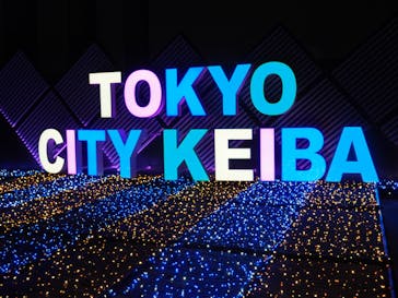 東京メガイルミに投稿された画像（2023/12/3）