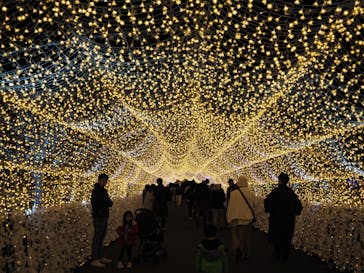 東京メガイルミに投稿された画像（2023/12/3）