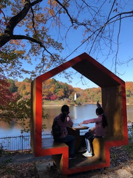 ムーミンバレーパークに投稿された画像（2023/12/3）