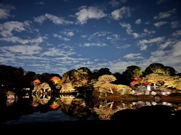 六義園に投稿された画像（2023/12/3）