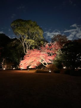 六義園に投稿された画像（2023/12/3）