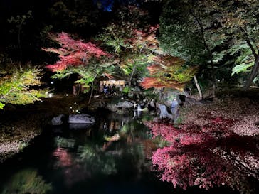 六義園に投稿された画像（2023/12/3）