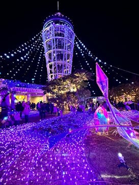 江の島シーキャンドルに投稿された画像（2023/12/3）