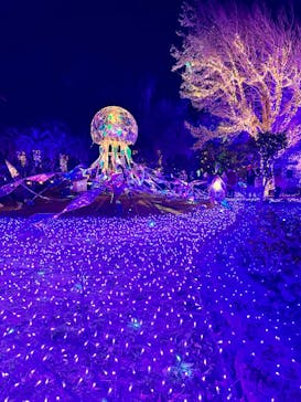 江の島シーキャンドルに投稿された画像（2023/12/3）