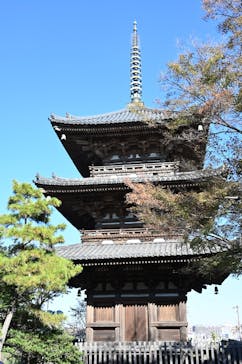 三溪園に投稿された画像（2023/12/3）