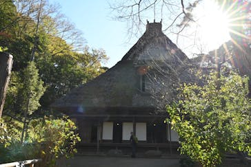 三溪園に投稿された画像（2023/12/3）