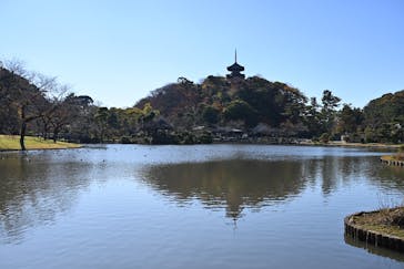 三溪園に投稿された画像（2023/12/3）