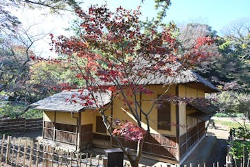 三溪園に投稿された画像（2023/12/3）