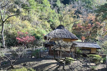 三溪園に投稿された画像（2023/12/3）