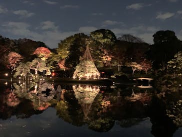 六義園に投稿された画像（2023/12/3）