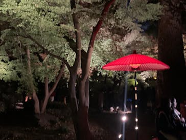 六義園に投稿された画像（2023/12/3）