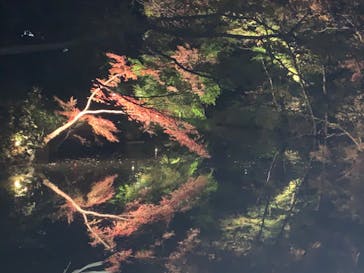 六義園に投稿された画像（2023/12/3）