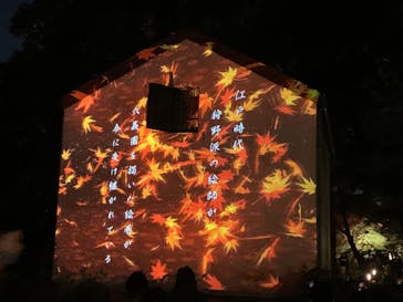 六義園に投稿された画像（2023/12/3）