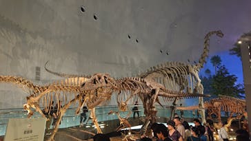 福井県立恐竜博物館に投稿された画像（2023/12/3）