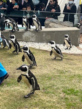 マリンワールド海の中道に投稿された画像（2023/12/3）