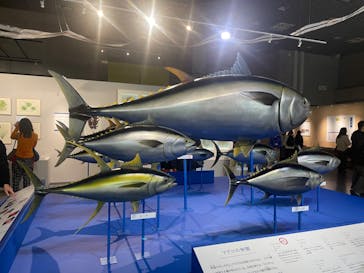 特別展「和食 ～日本の自然、人々の知恵～」に投稿された画像（2023/12/3）