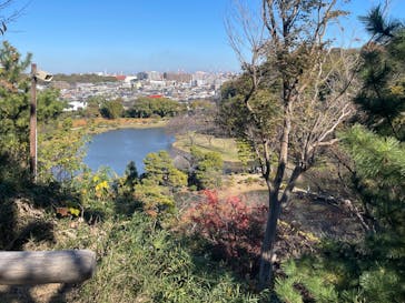 三溪園に投稿された画像（2023/12/3）