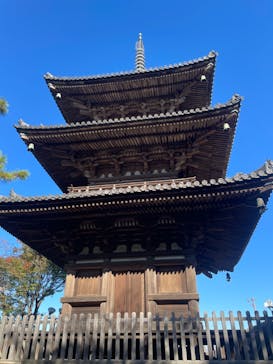 三溪園に投稿された画像（2023/12/3）