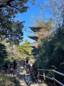 三溪園に投稿された画像（2023/12/3）