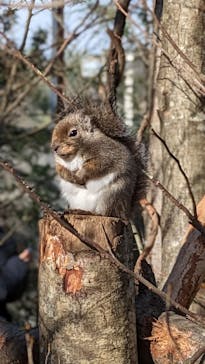 那須どうぶつ王国に投稿された画像（2023/12/3）