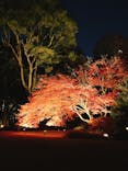 六義園に投稿された画像（2023/12/4）