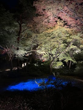 六義園に投稿された画像（2023/12/3）